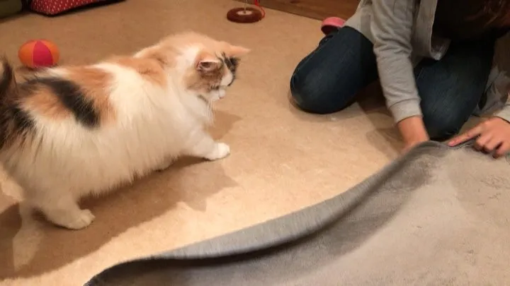 投稿の写真2
