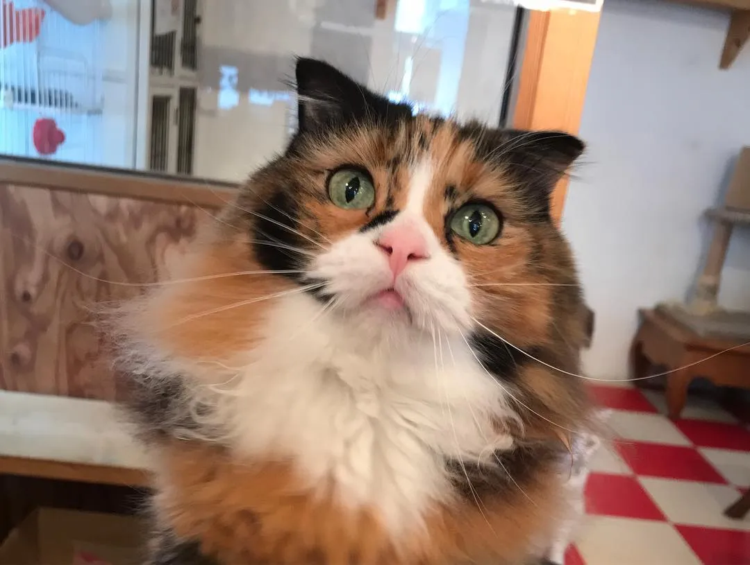 投稿の写真4