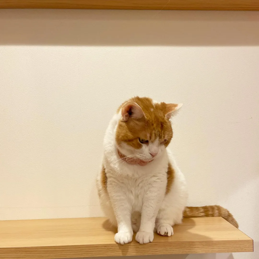 投稿の写真3