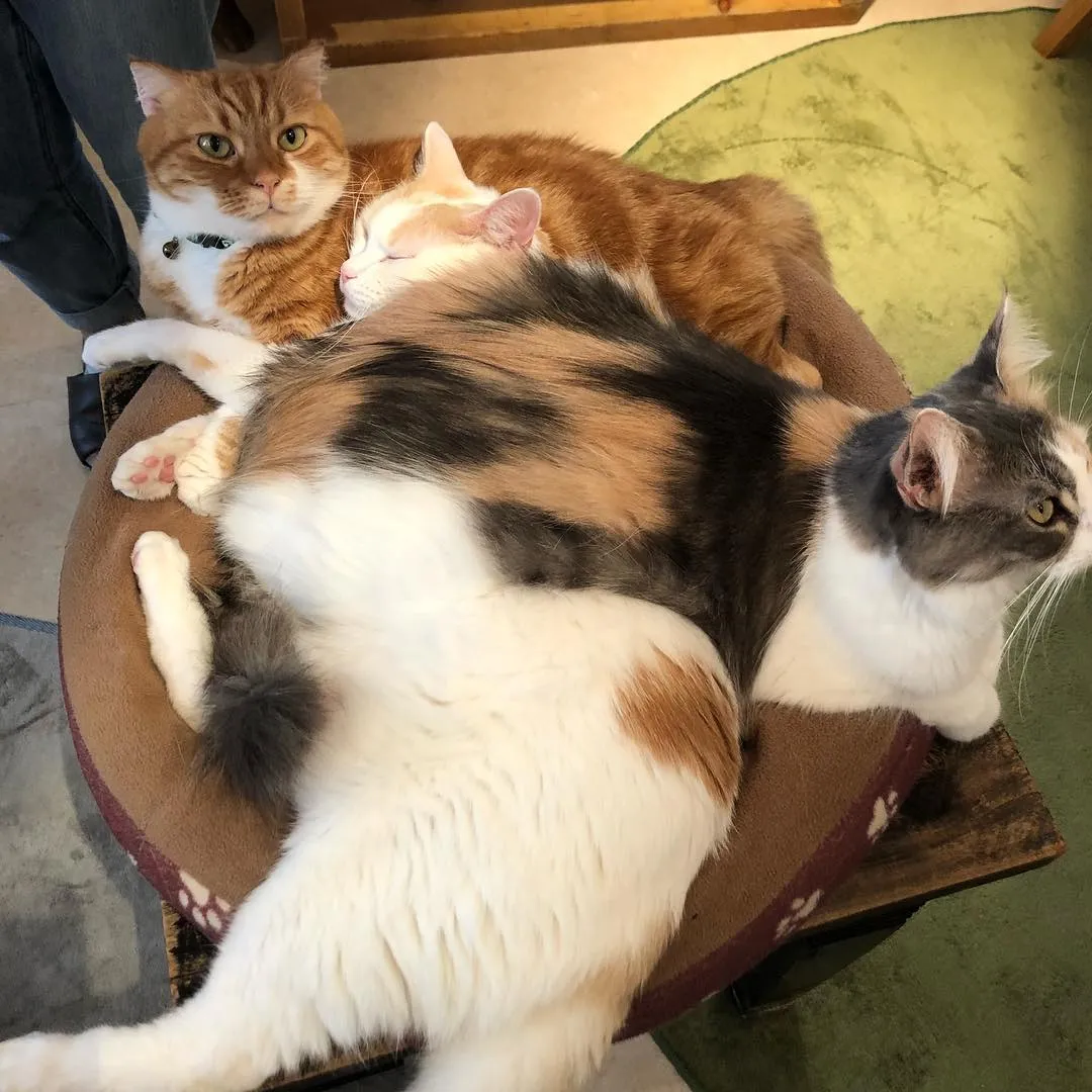 投稿の写真2