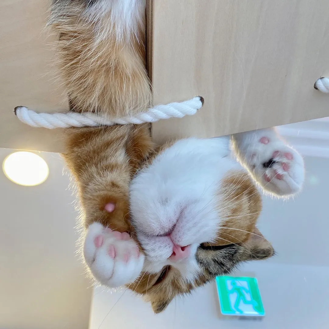 投稿の写真2