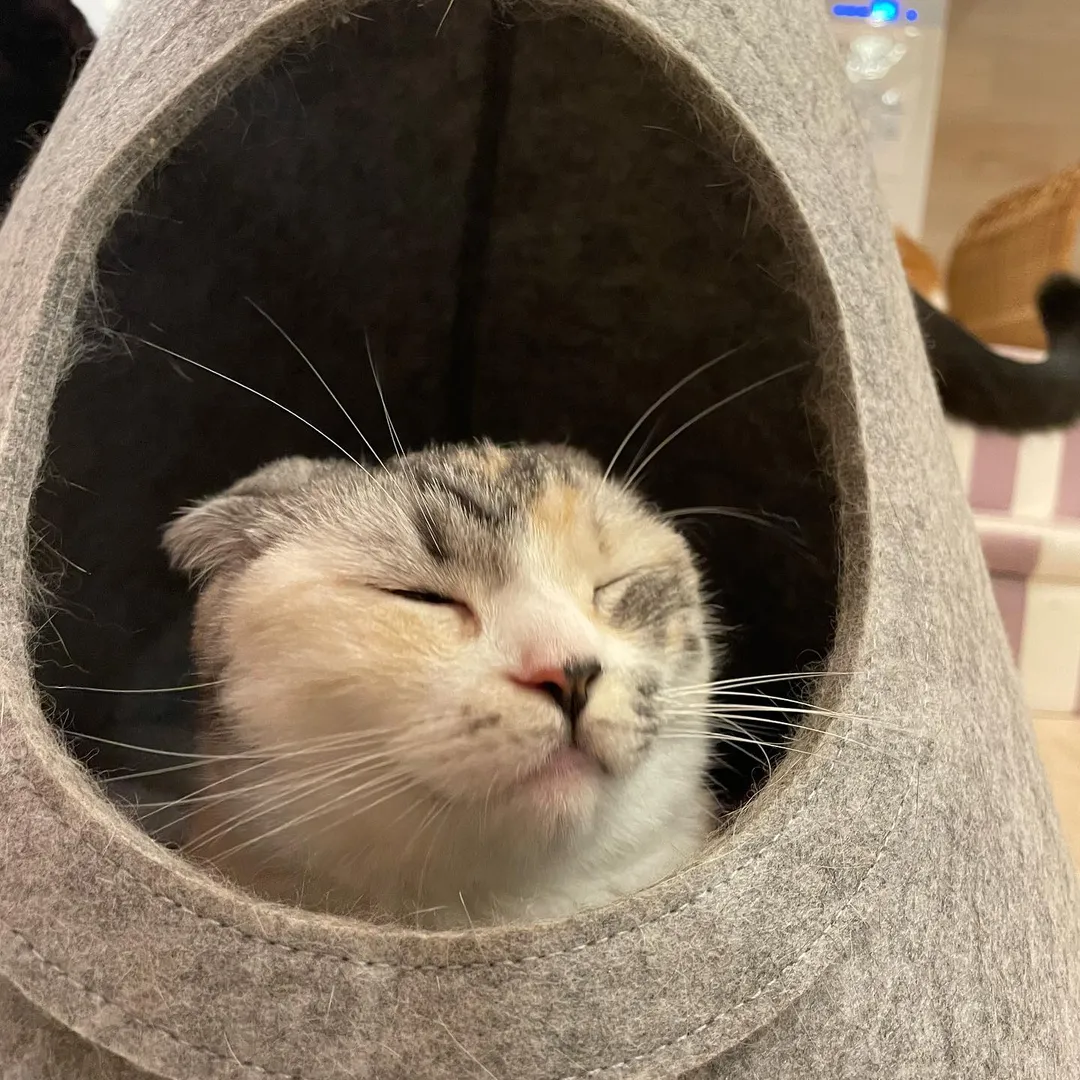 投稿の写真3