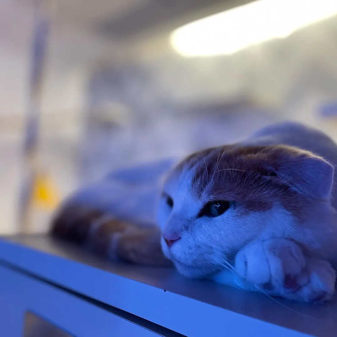投稿の写真2