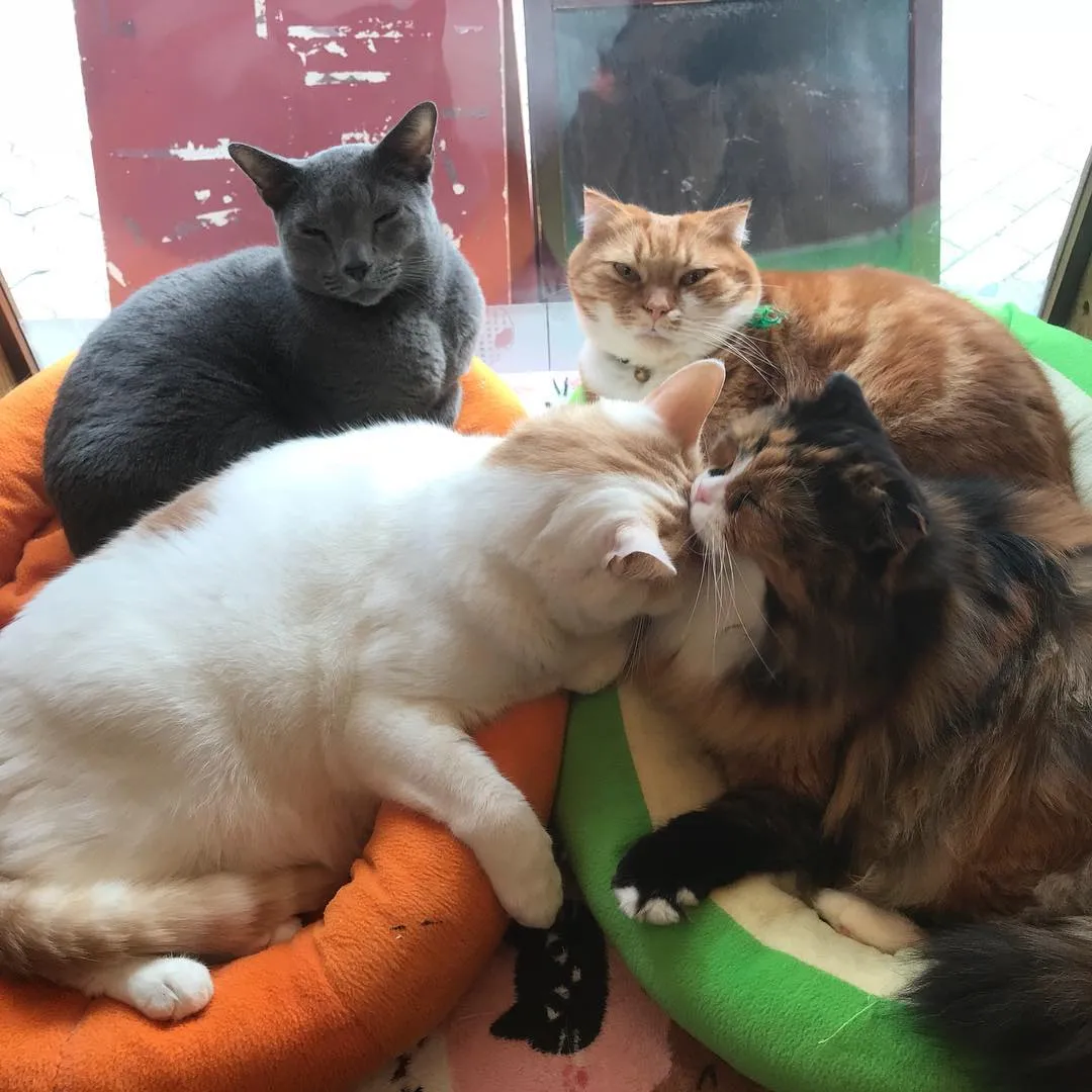 投稿の写真2