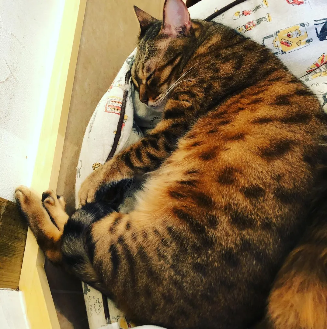 投稿の写真2
