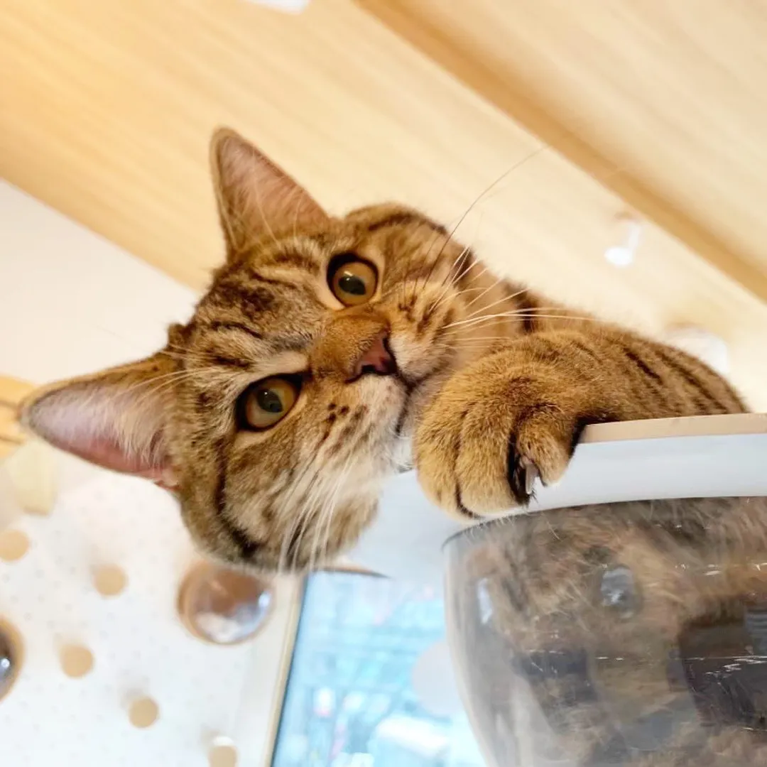 投稿の写真6