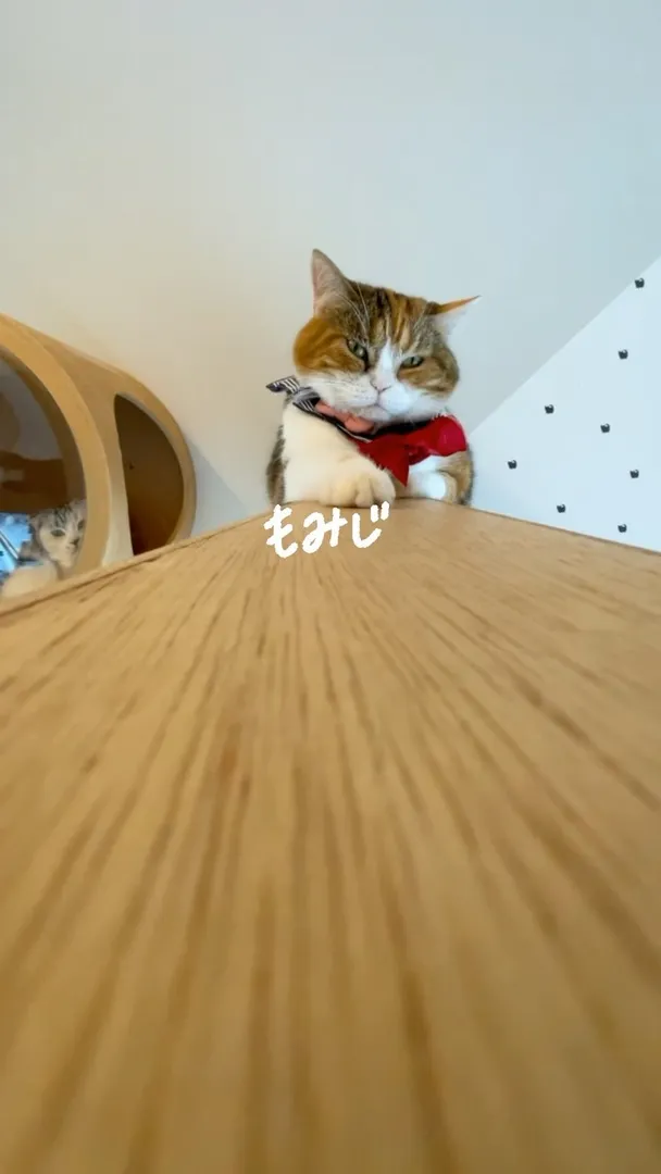 投稿の写真