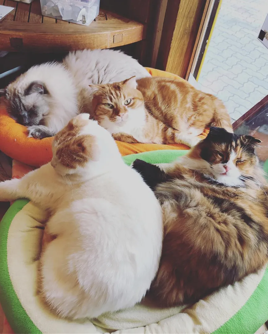 投稿の写真4