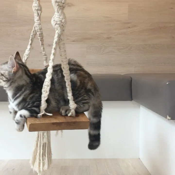 投稿の写真