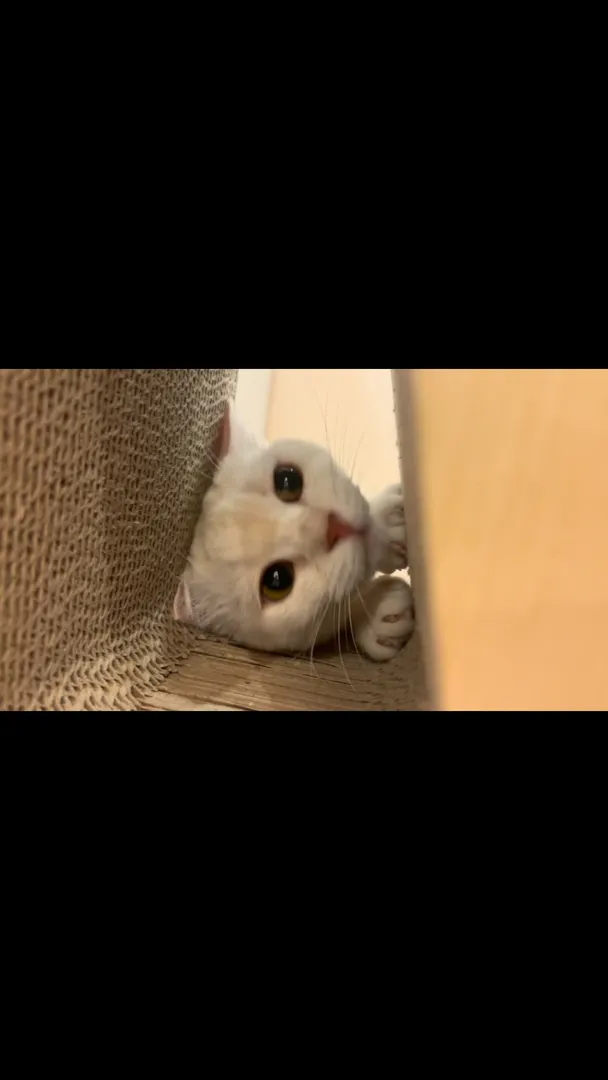 投稿の写真