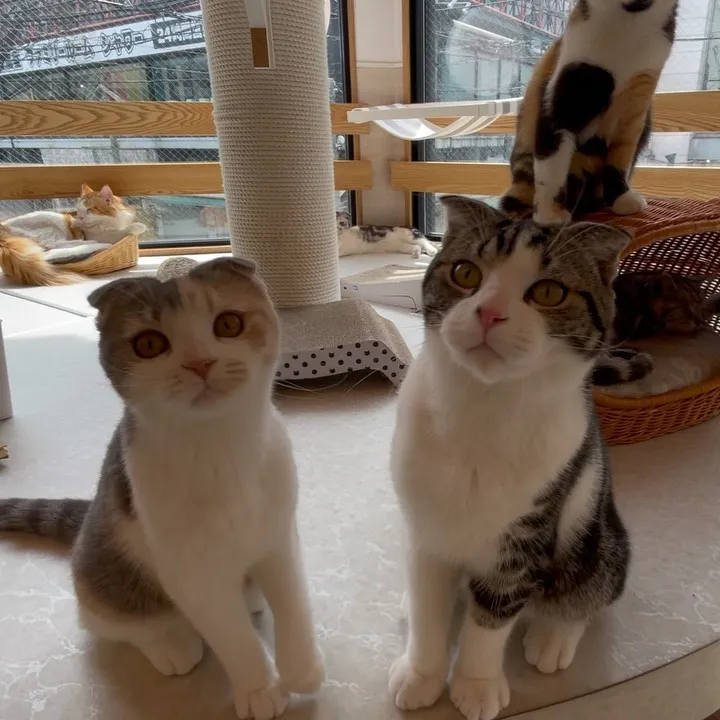 投稿の写真2