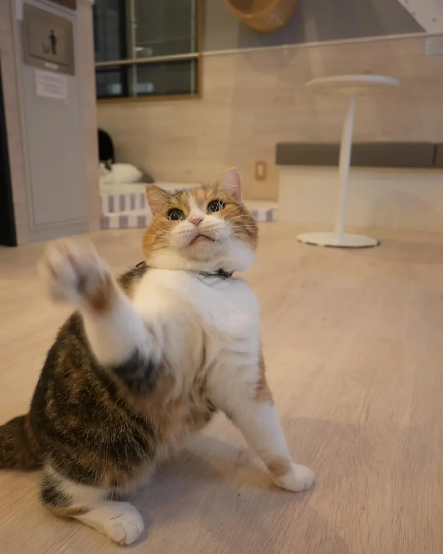投稿の写真3