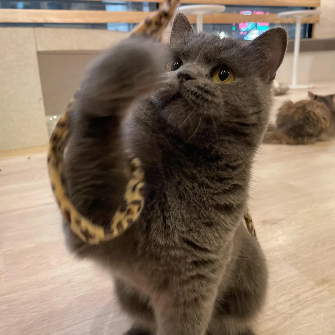 投稿の写真3