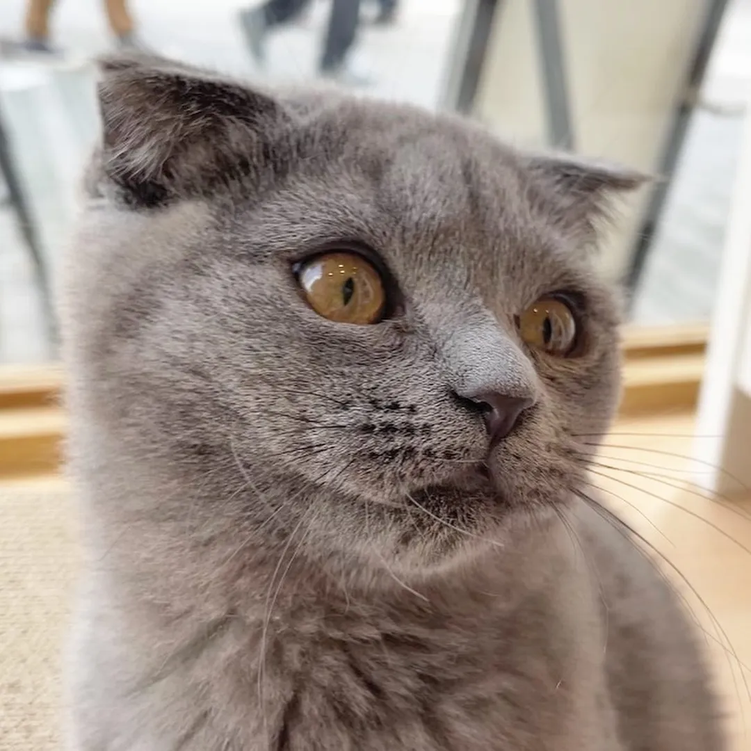 投稿の写真2