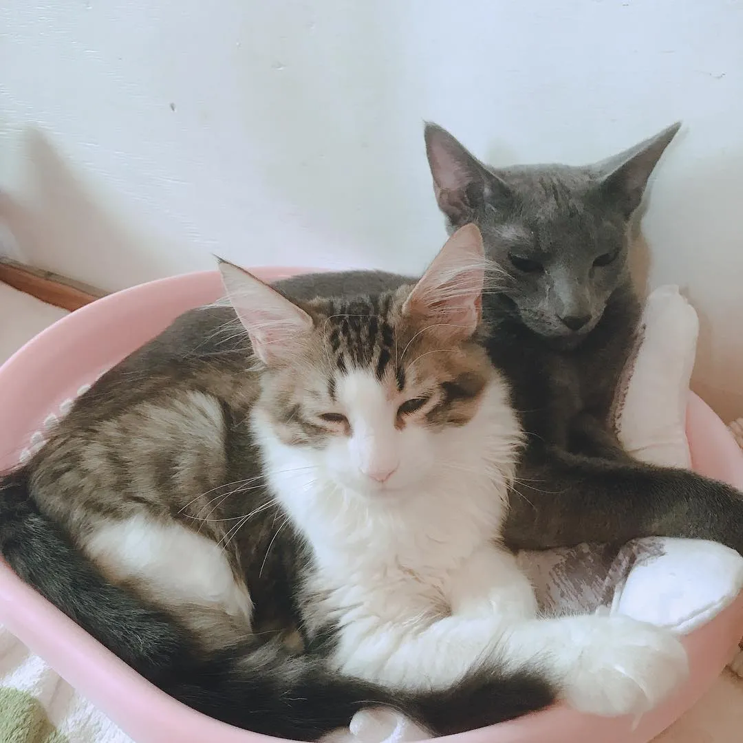 投稿の写真2