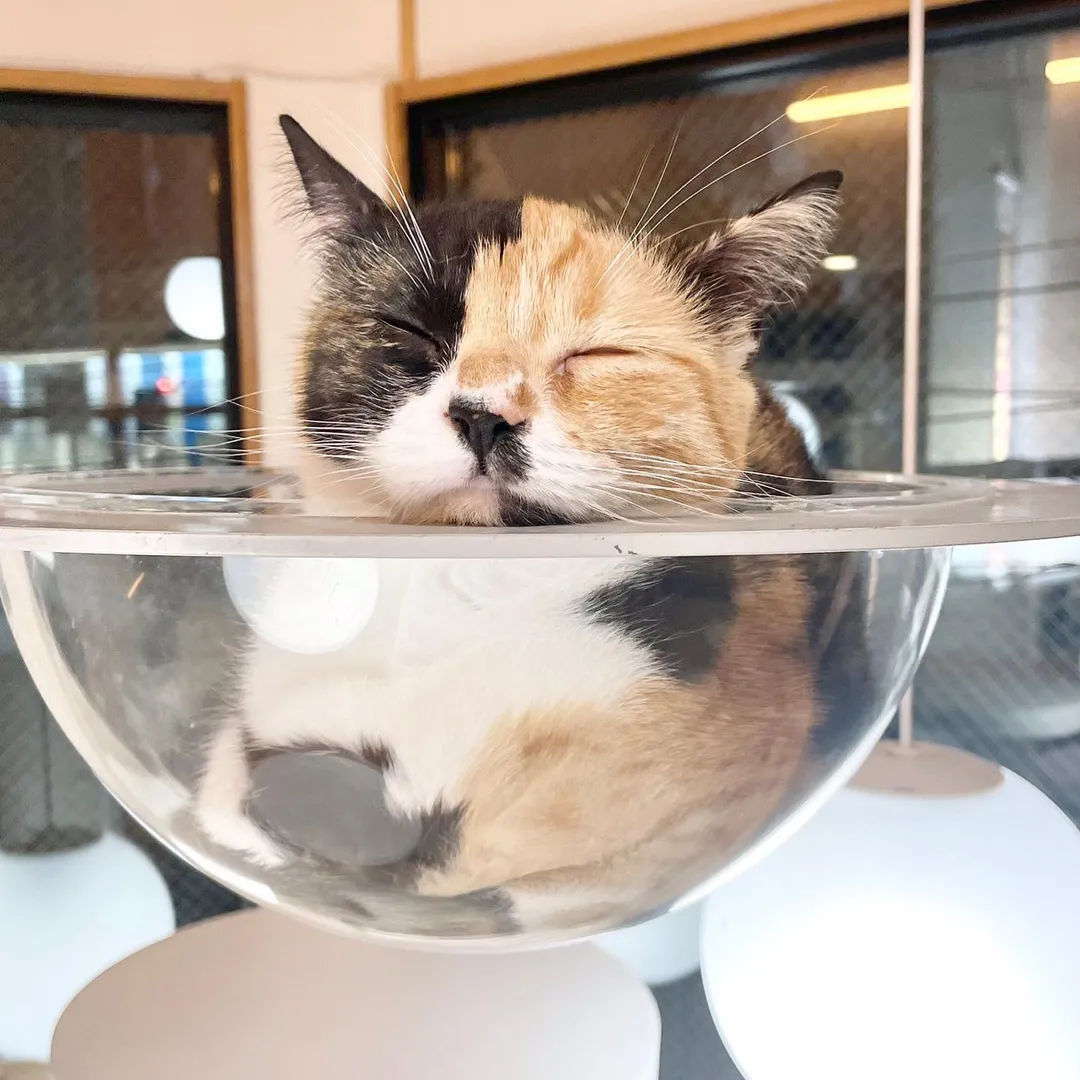 投稿の写真7