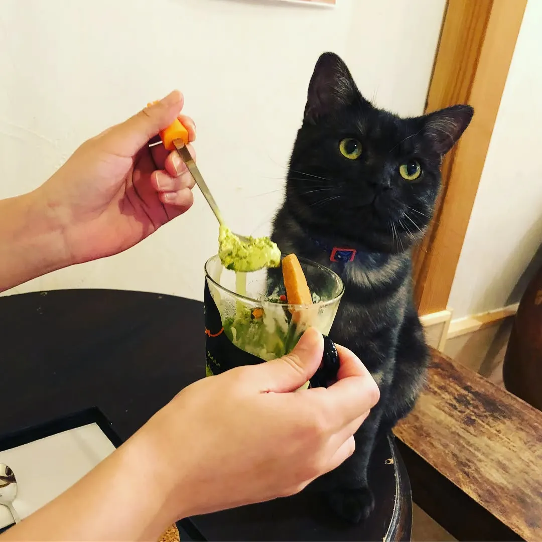 投稿の写真3