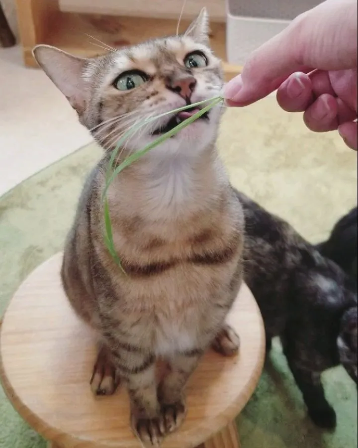 投稿の写真5