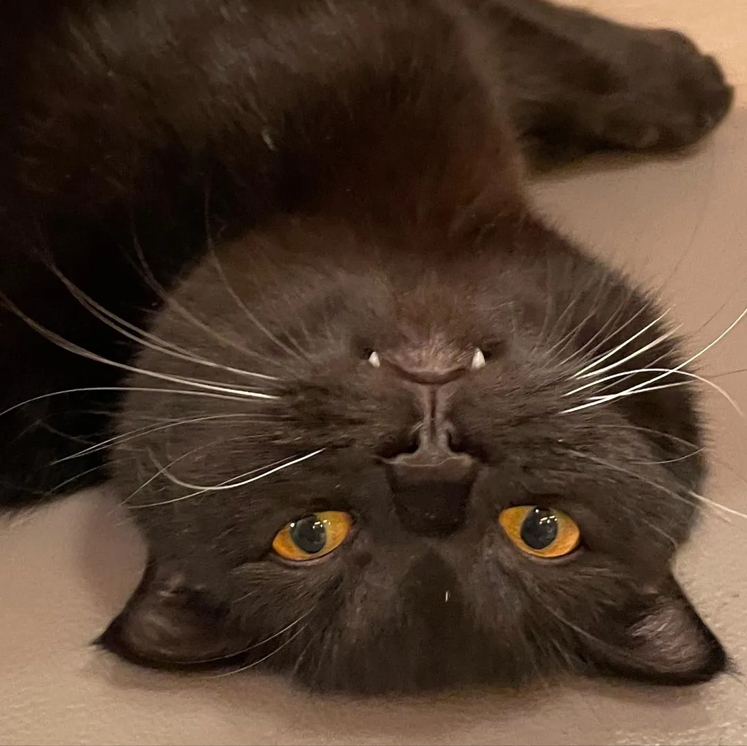 投稿の写真2