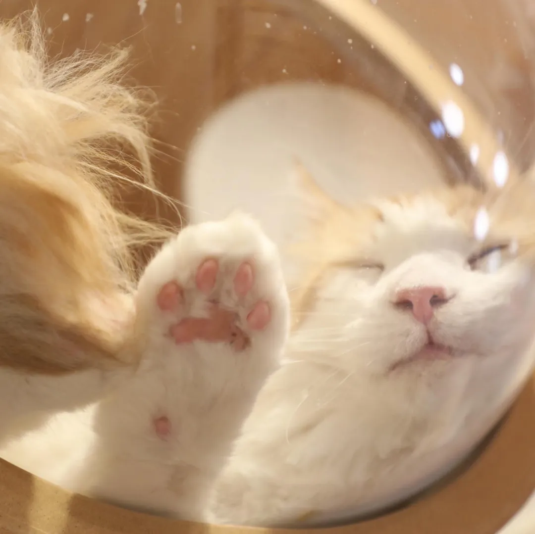 投稿の写真3
