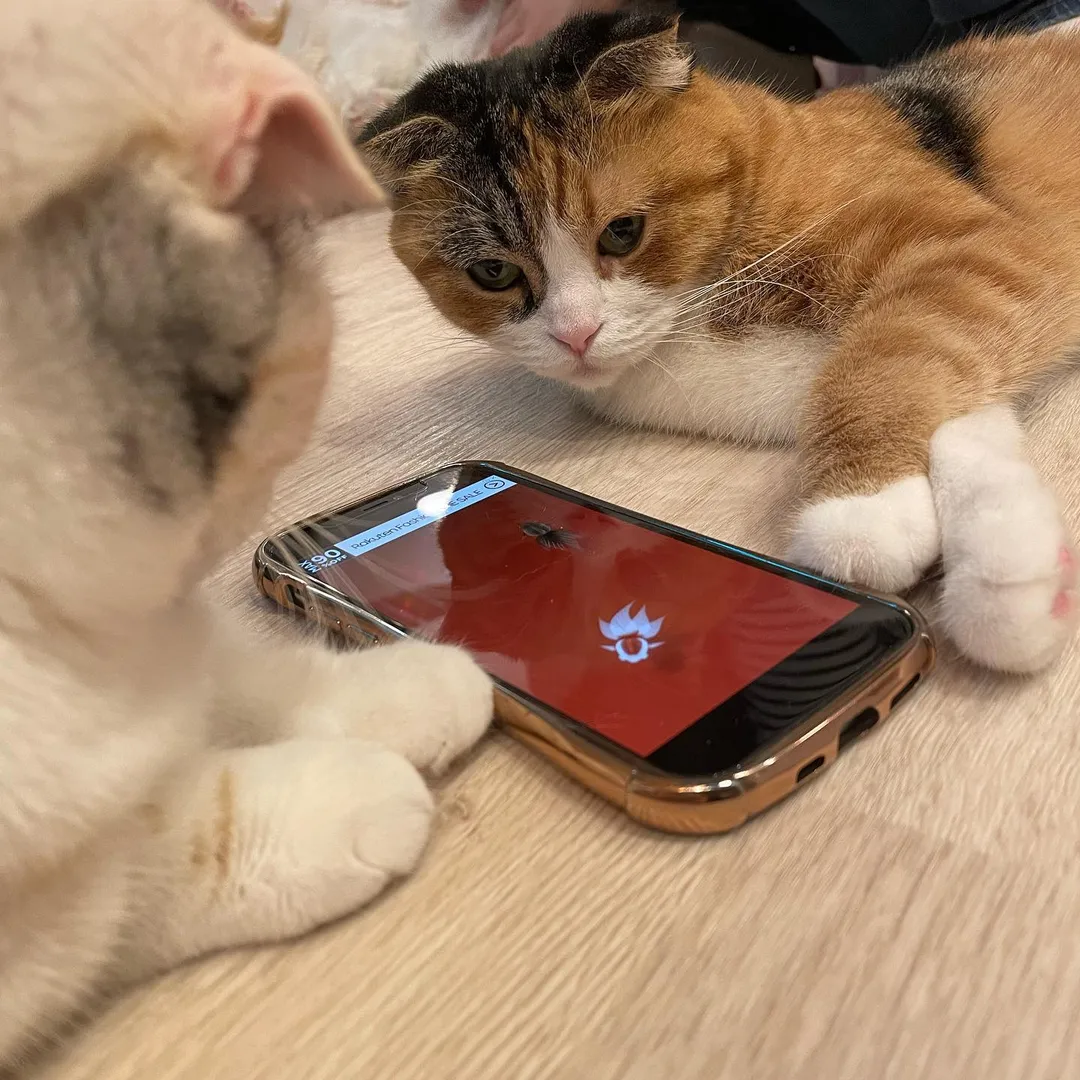 投稿の写真5