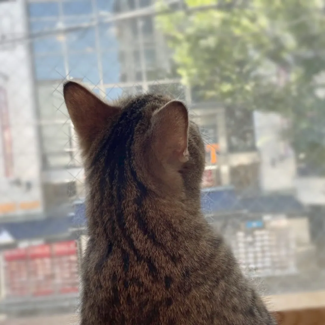 投稿の写真2