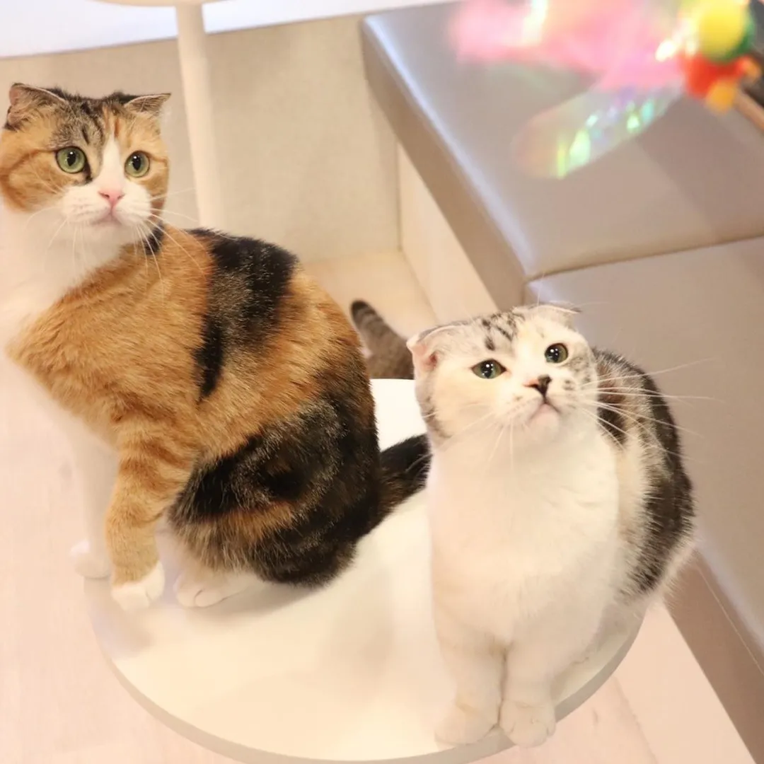 投稿の写真5