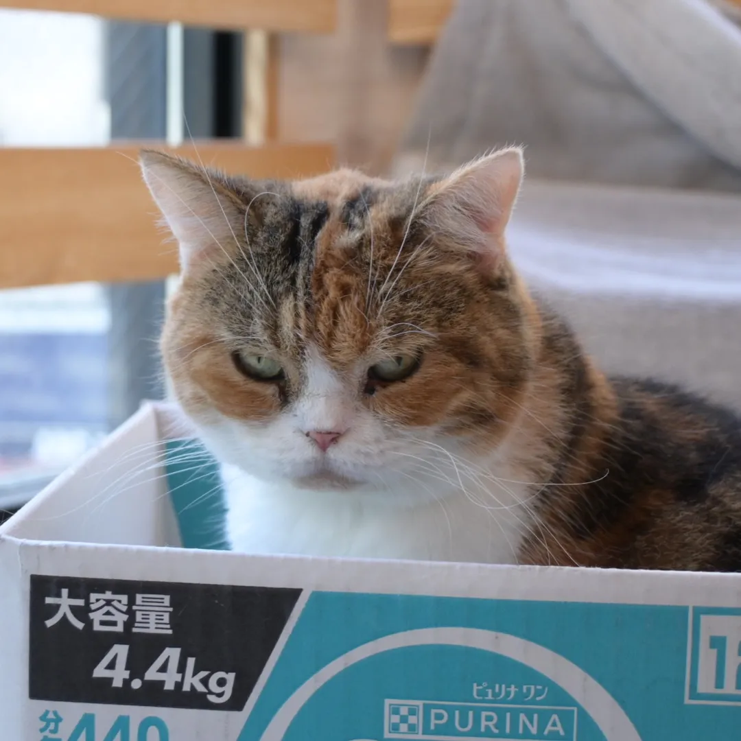 投稿の写真7