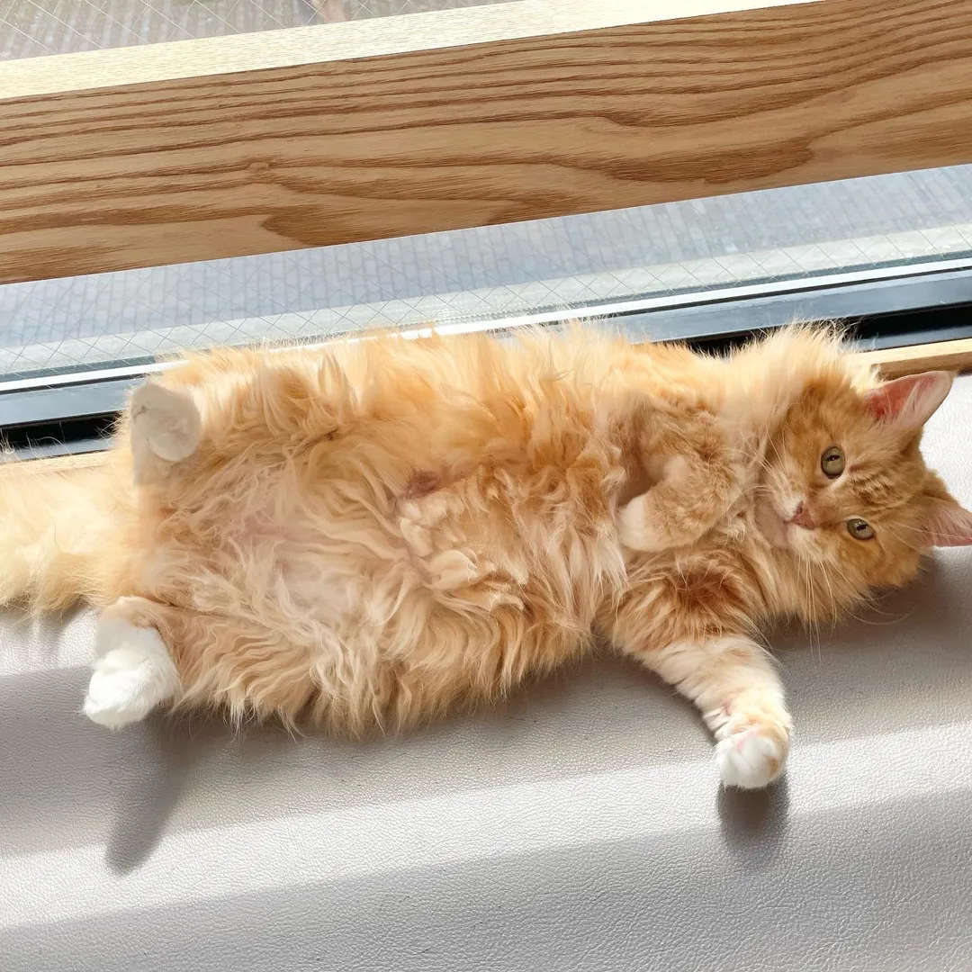 投稿の写真6