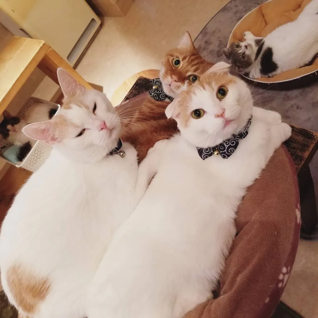 投稿の写真3