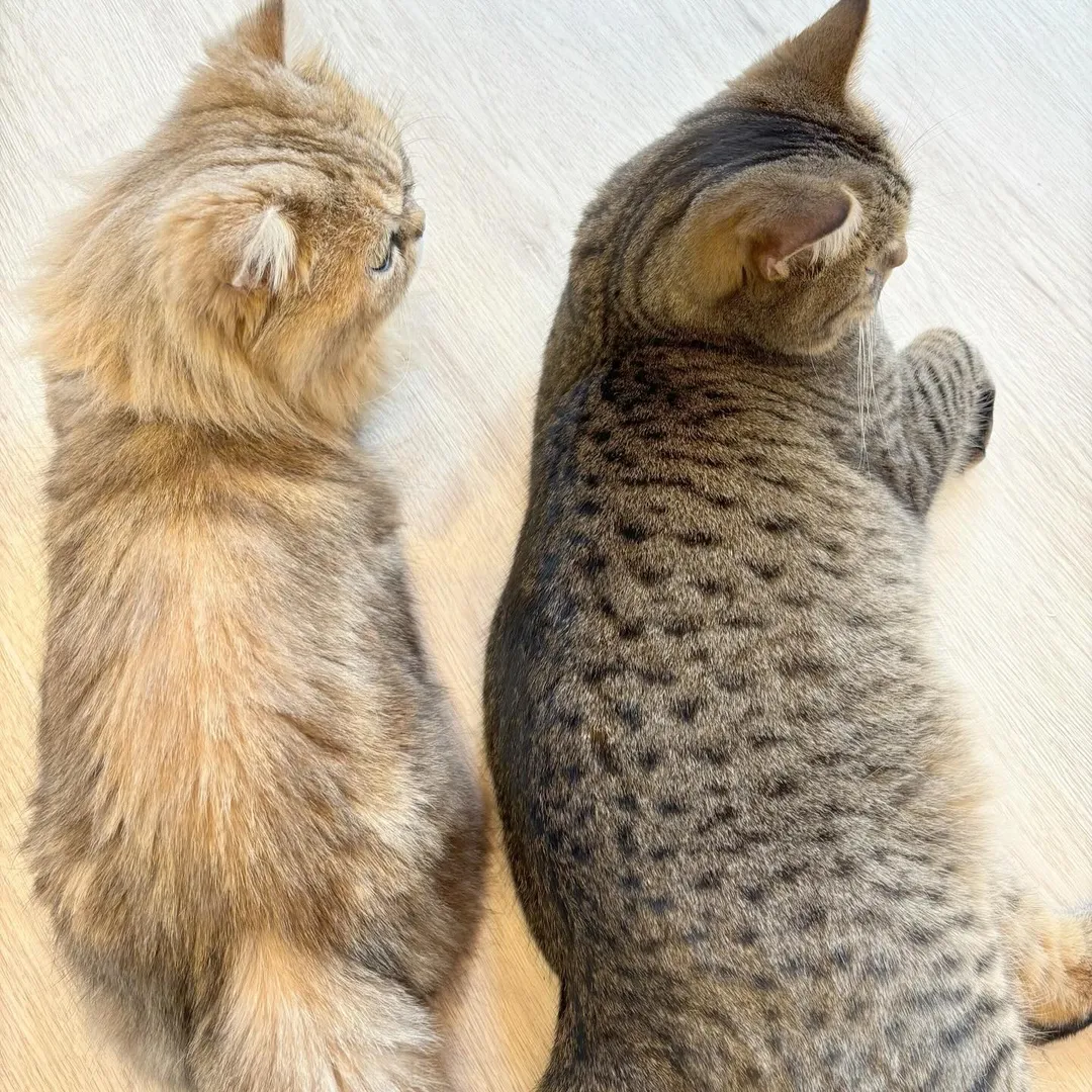投稿の写真3