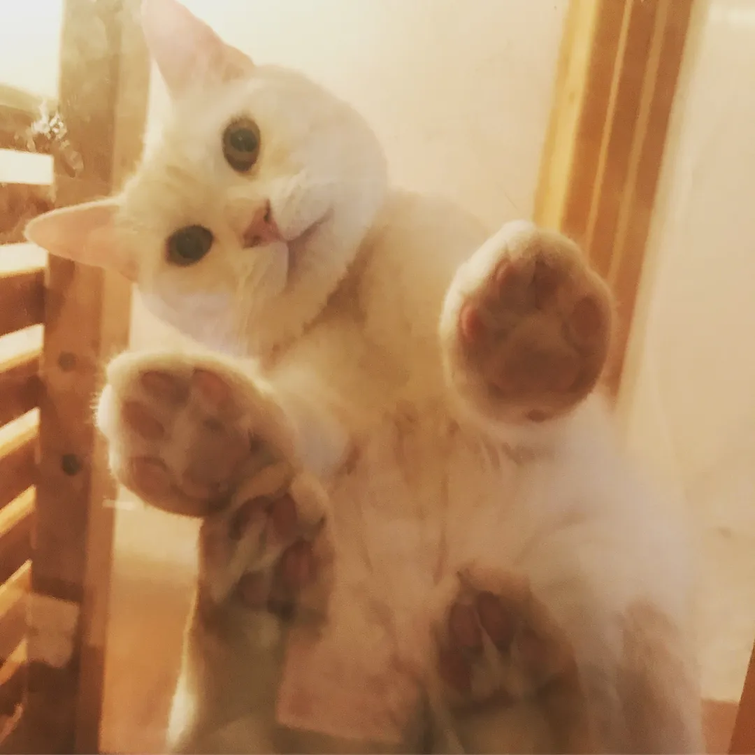 投稿の写真2
