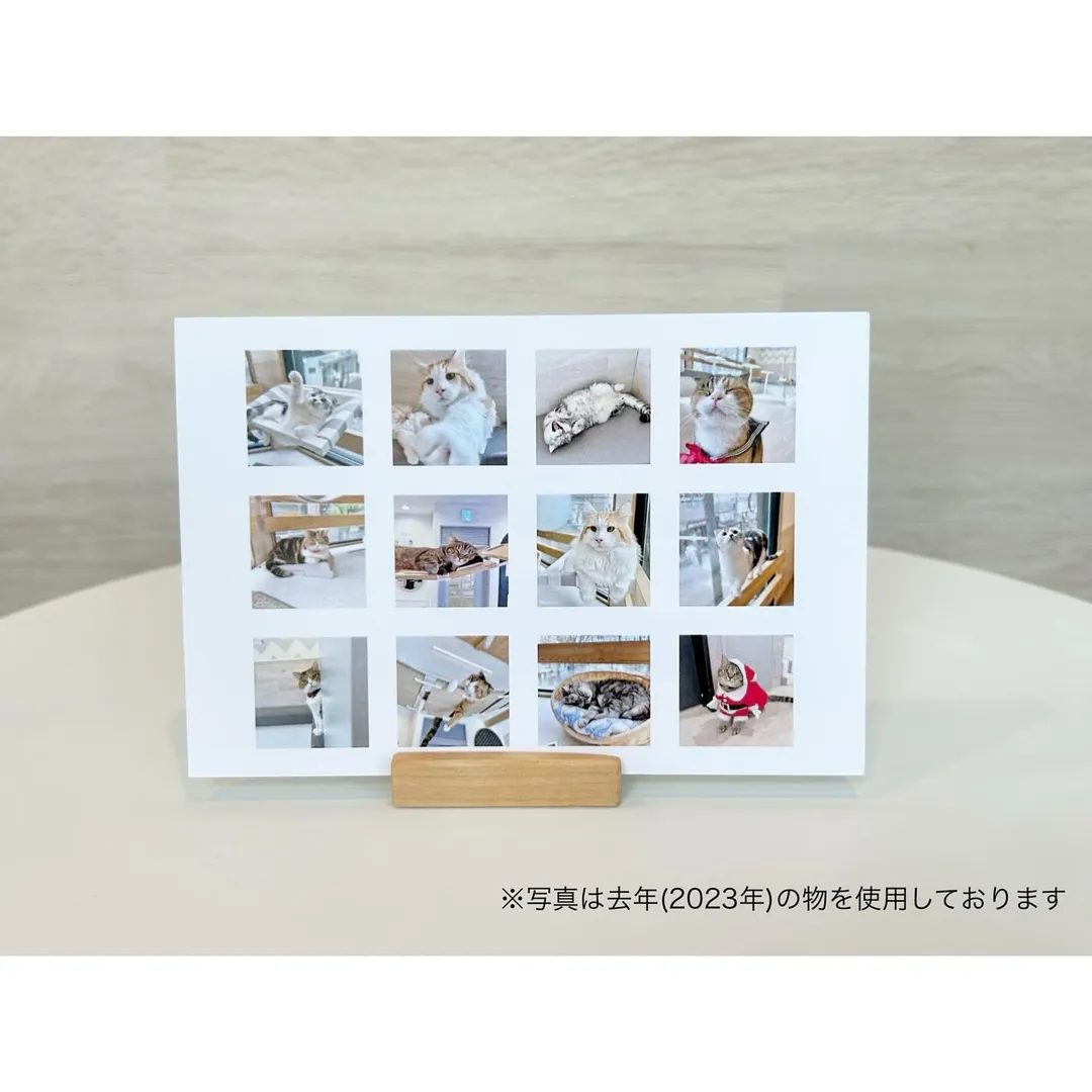 投稿の写真5