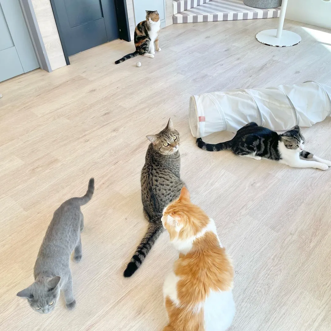 投稿の写真5