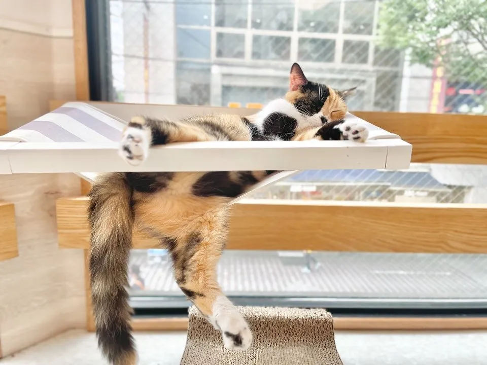投稿の写真1