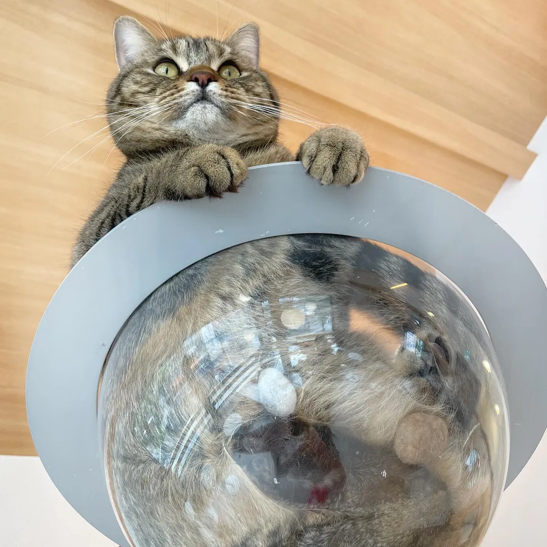 投稿の写真2
