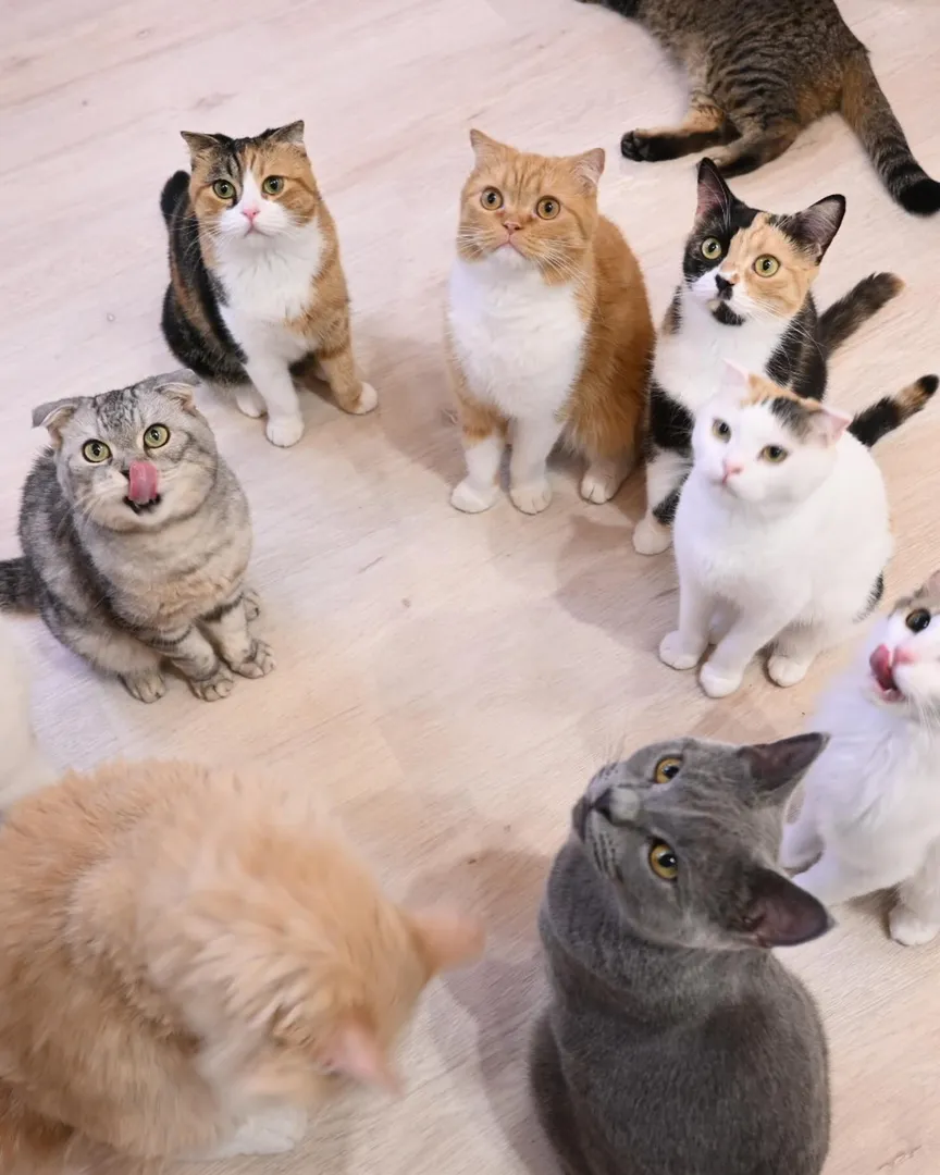 投稿の写真3