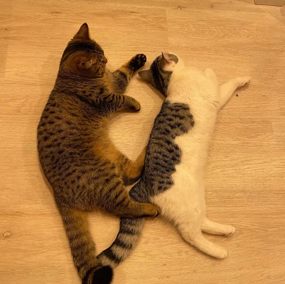 投稿の写真7