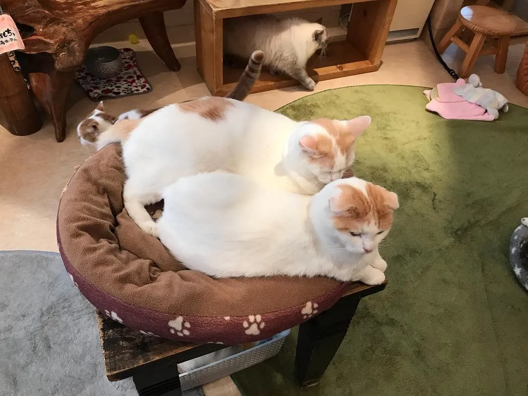 投稿の写真2