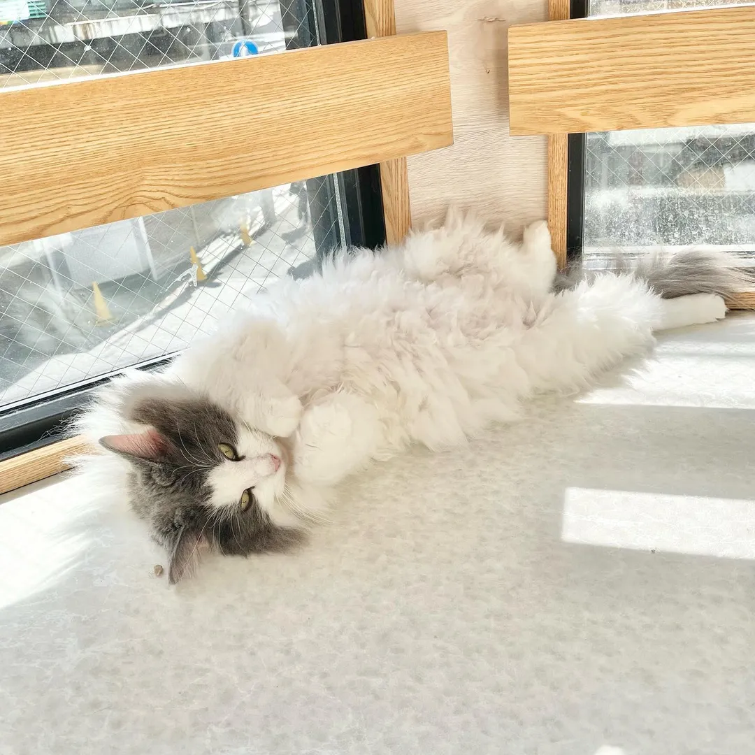 投稿の写真1