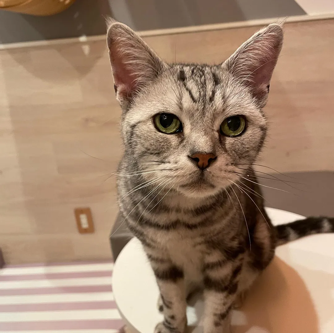投稿の写真1