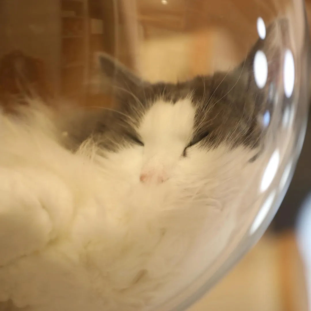 投稿の写真3