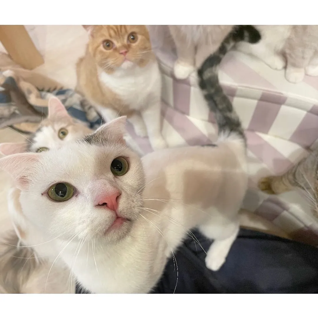 投稿の写真2