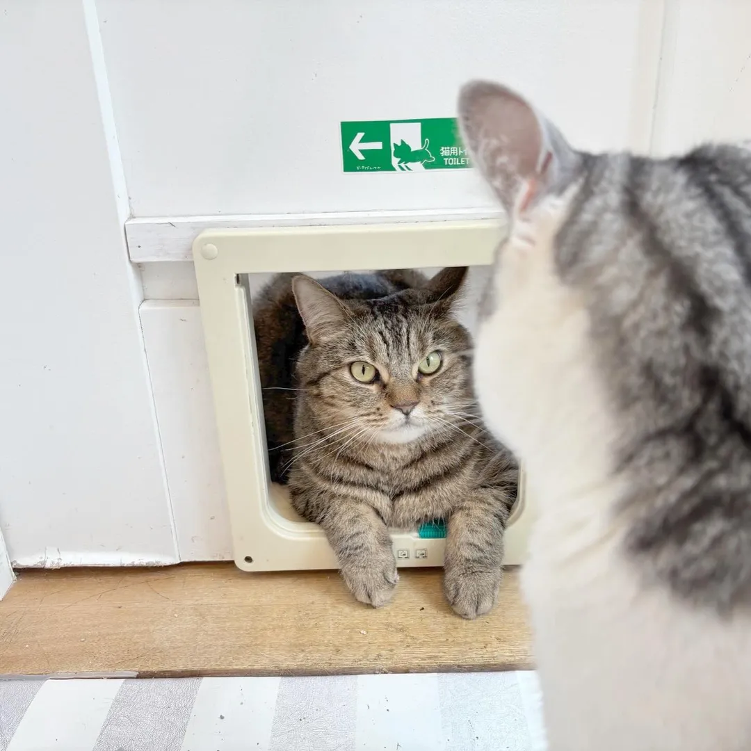 投稿の写真2