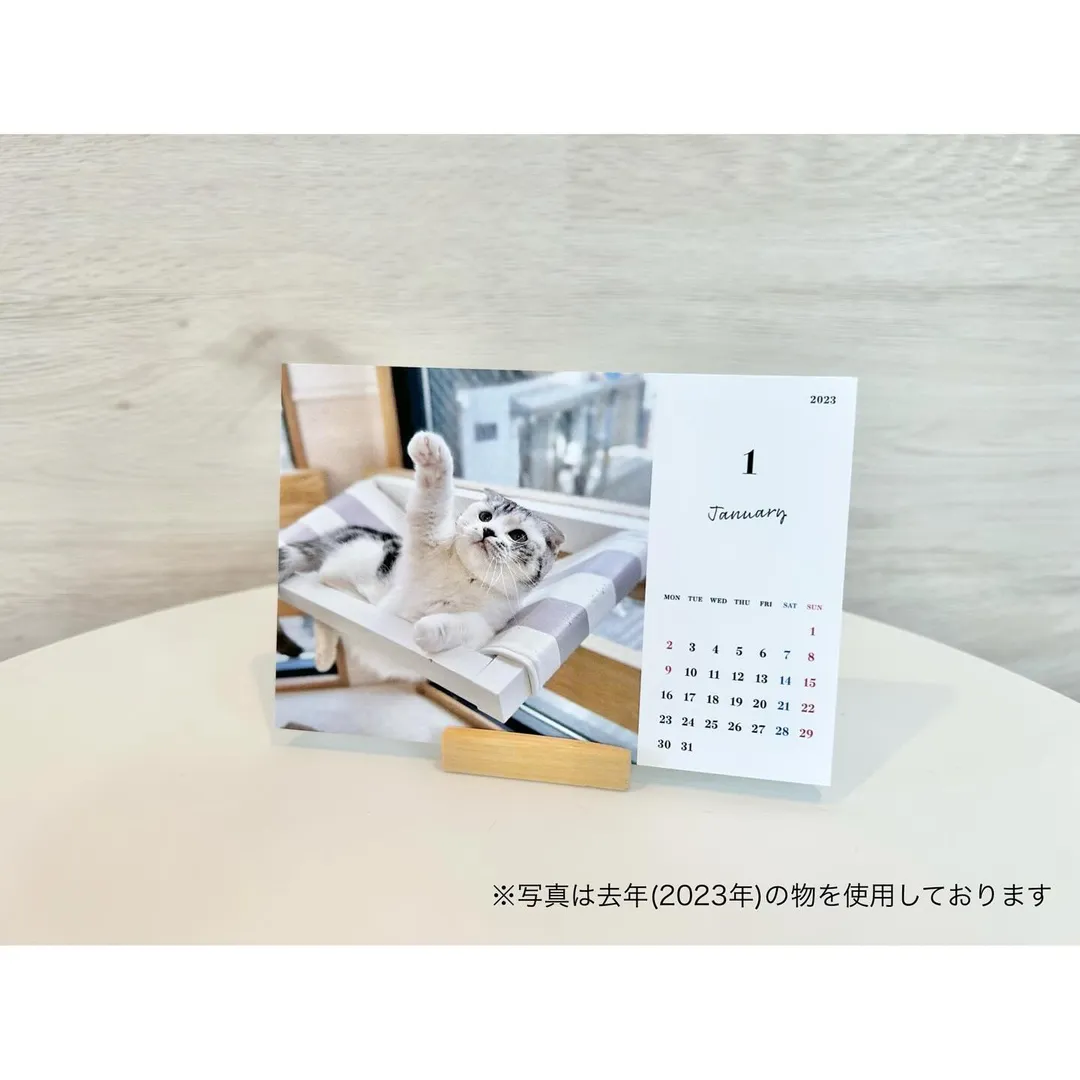 投稿の写真2