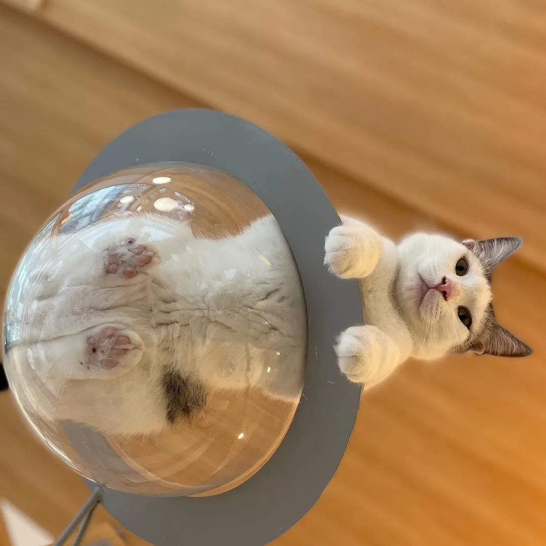 投稿の写真3