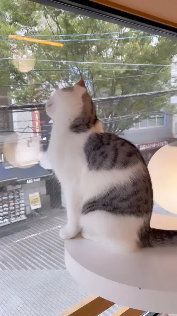 投稿の写真