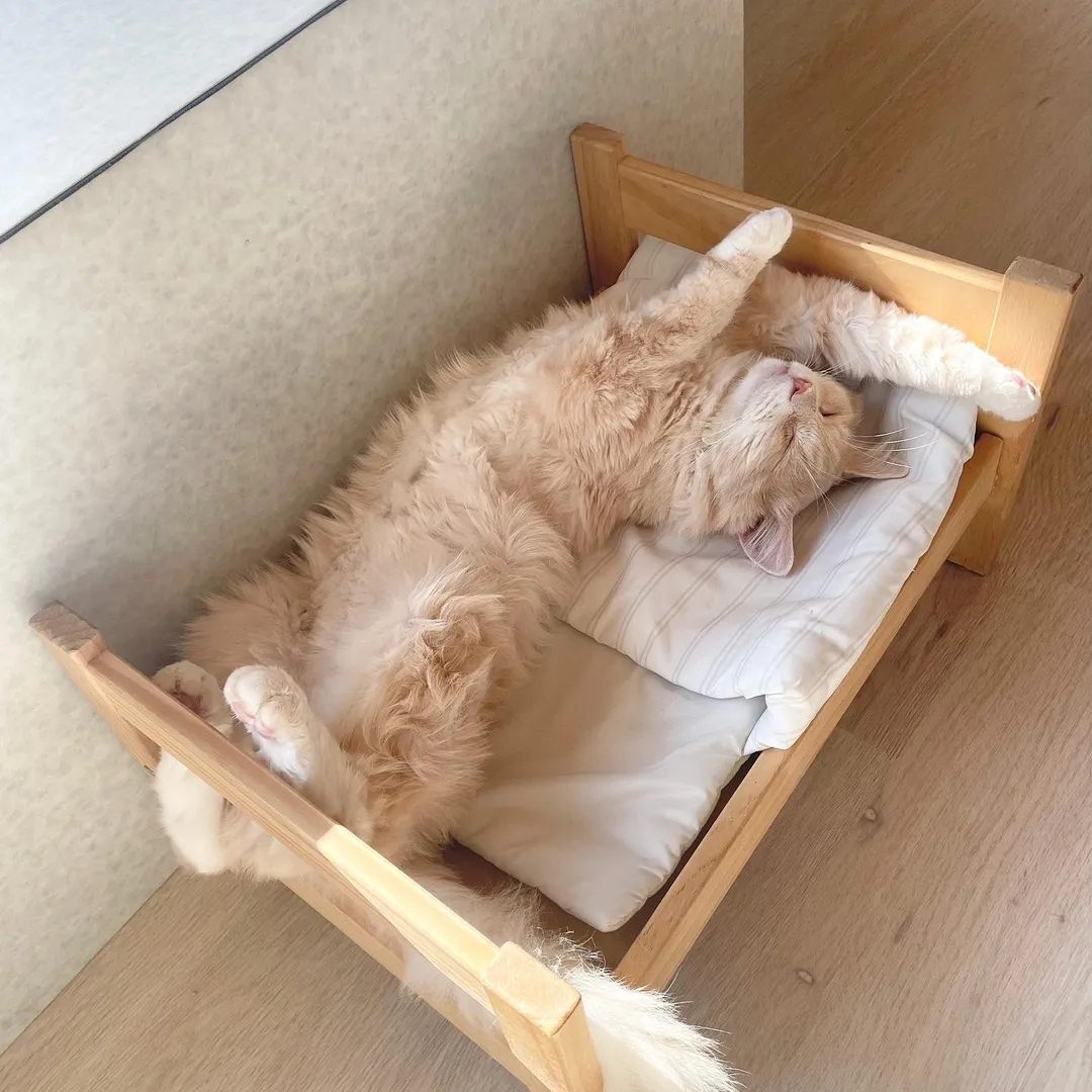 投稿の写真2
