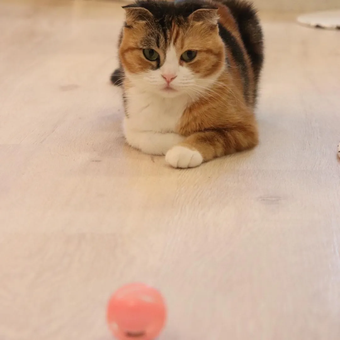 投稿の写真1
