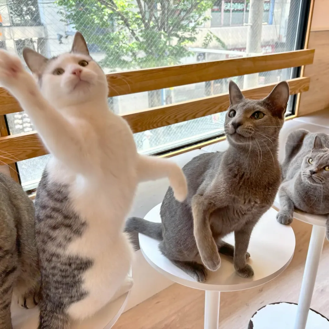 投稿の写真3